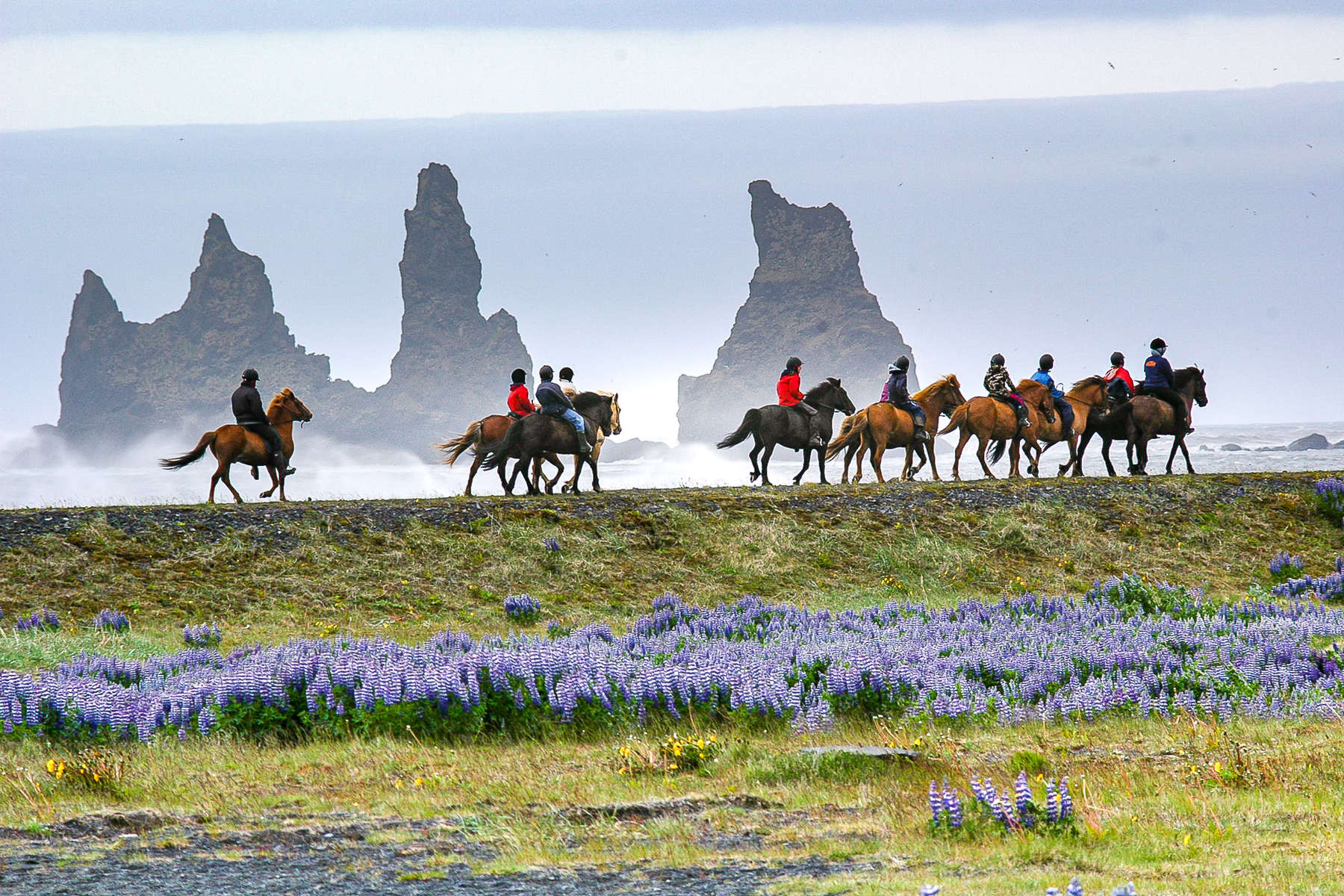 Riders enjoying a ride in Iceland