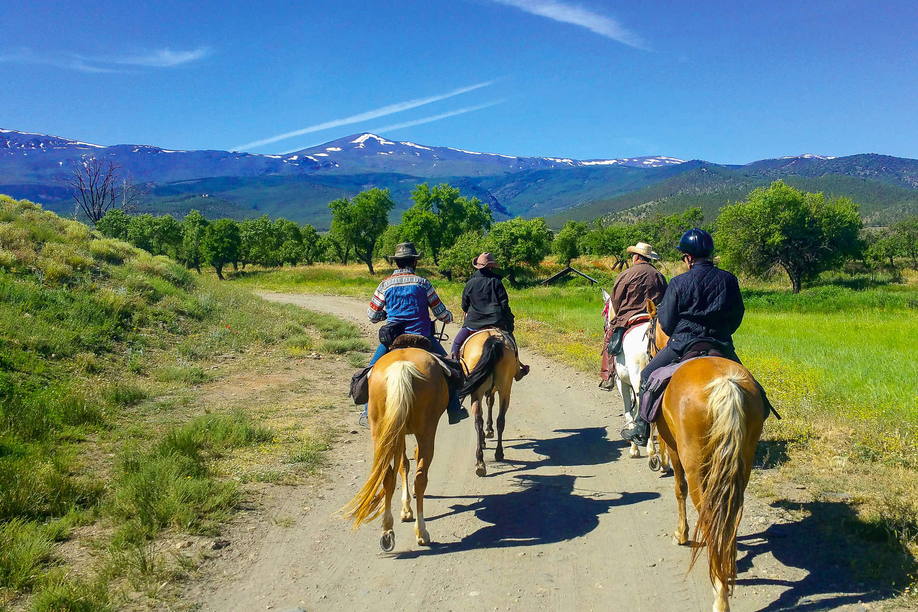 Riders enjoying a trail ride in Andalucia, Spain