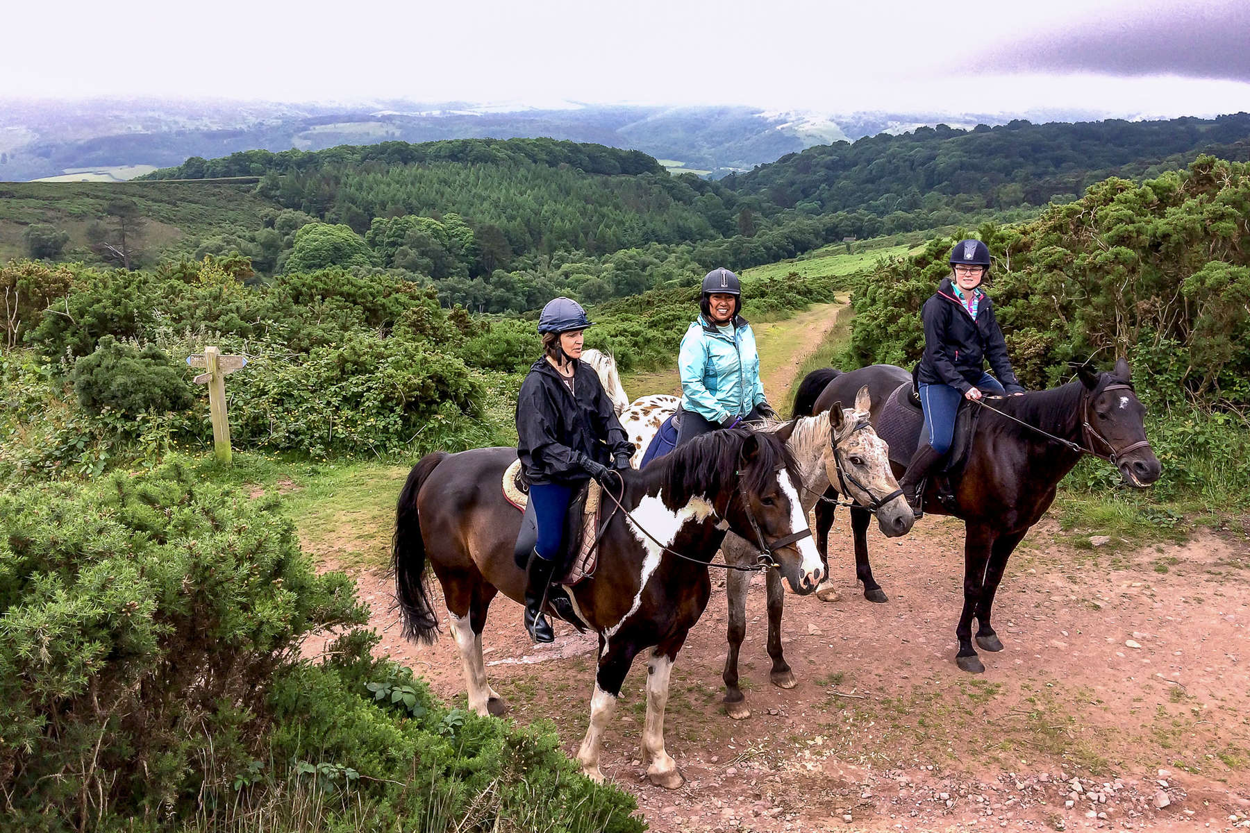 Riders enjoying horseback trails in Exmoor