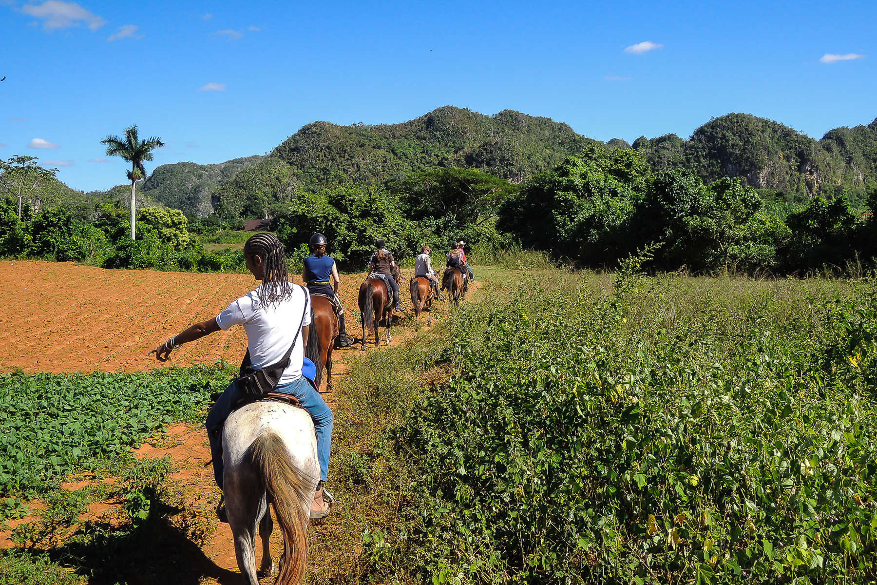 Riders following a trail between fields in Cuba