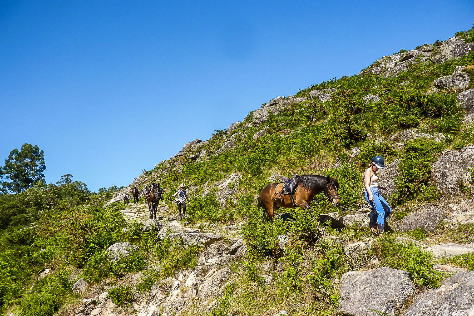 Riders leading their horses on foot during a riding holiday in Portugal