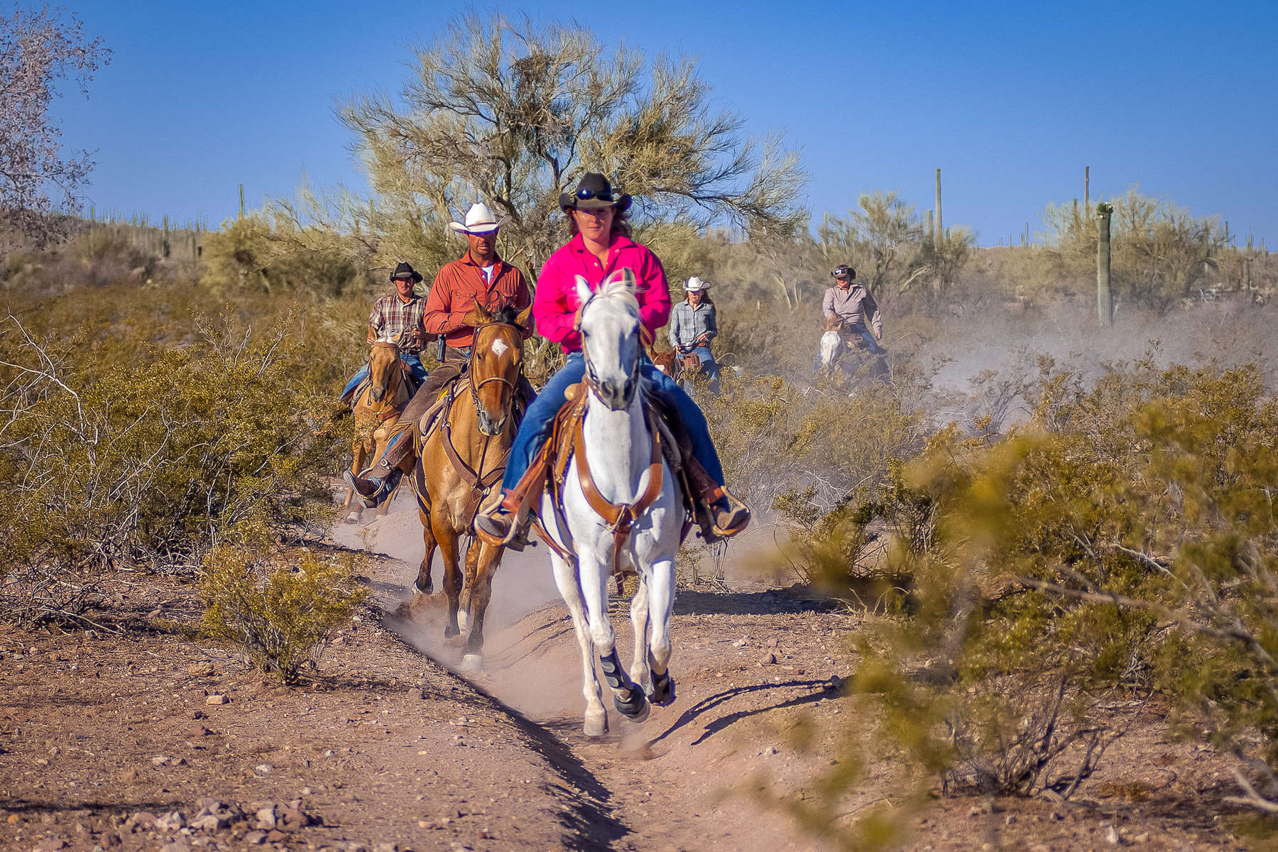Riders on a trail ride at White Stallion ranch in Arizona