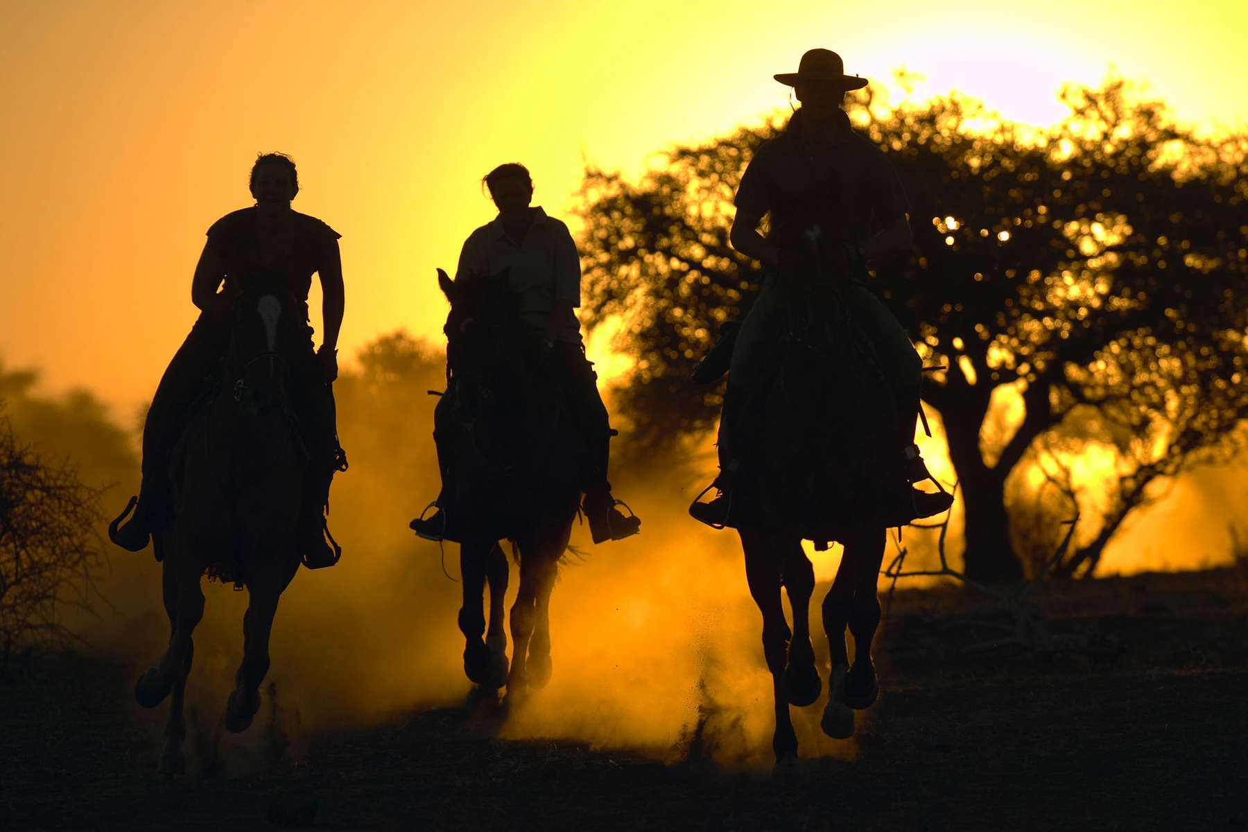 Racing to sundowners! Riders racing on a horse safari