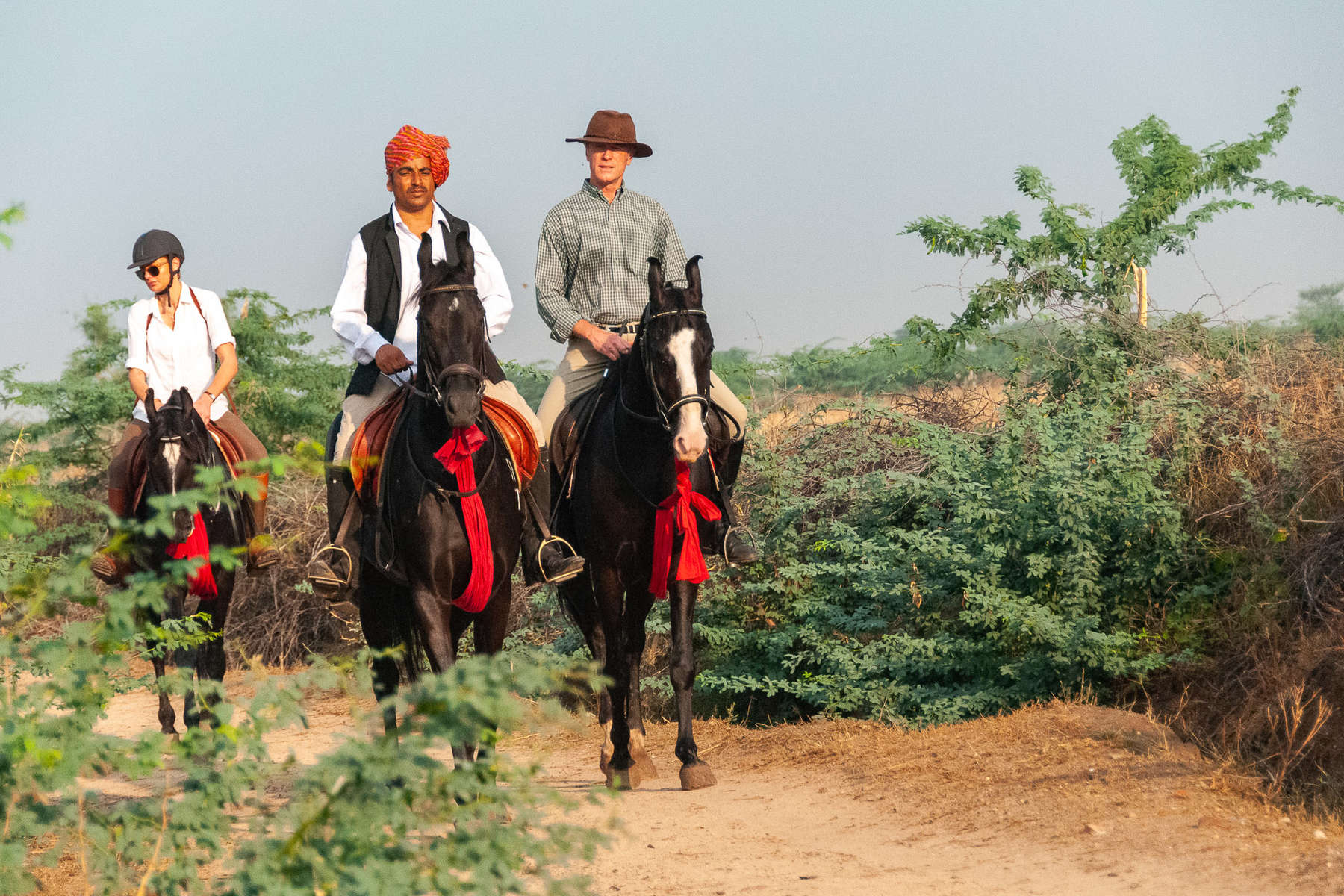 Riders riding across Rajasthan on beautful Marwari horses