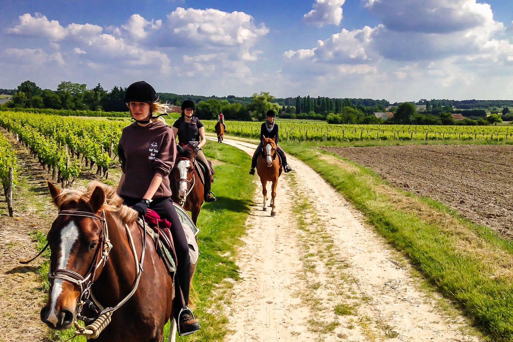 Riders riding across vineyards in France