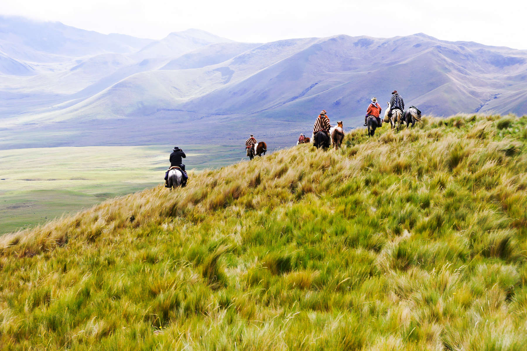 Riders riding in the parano in Ecuador on a Wildes Andes expedition