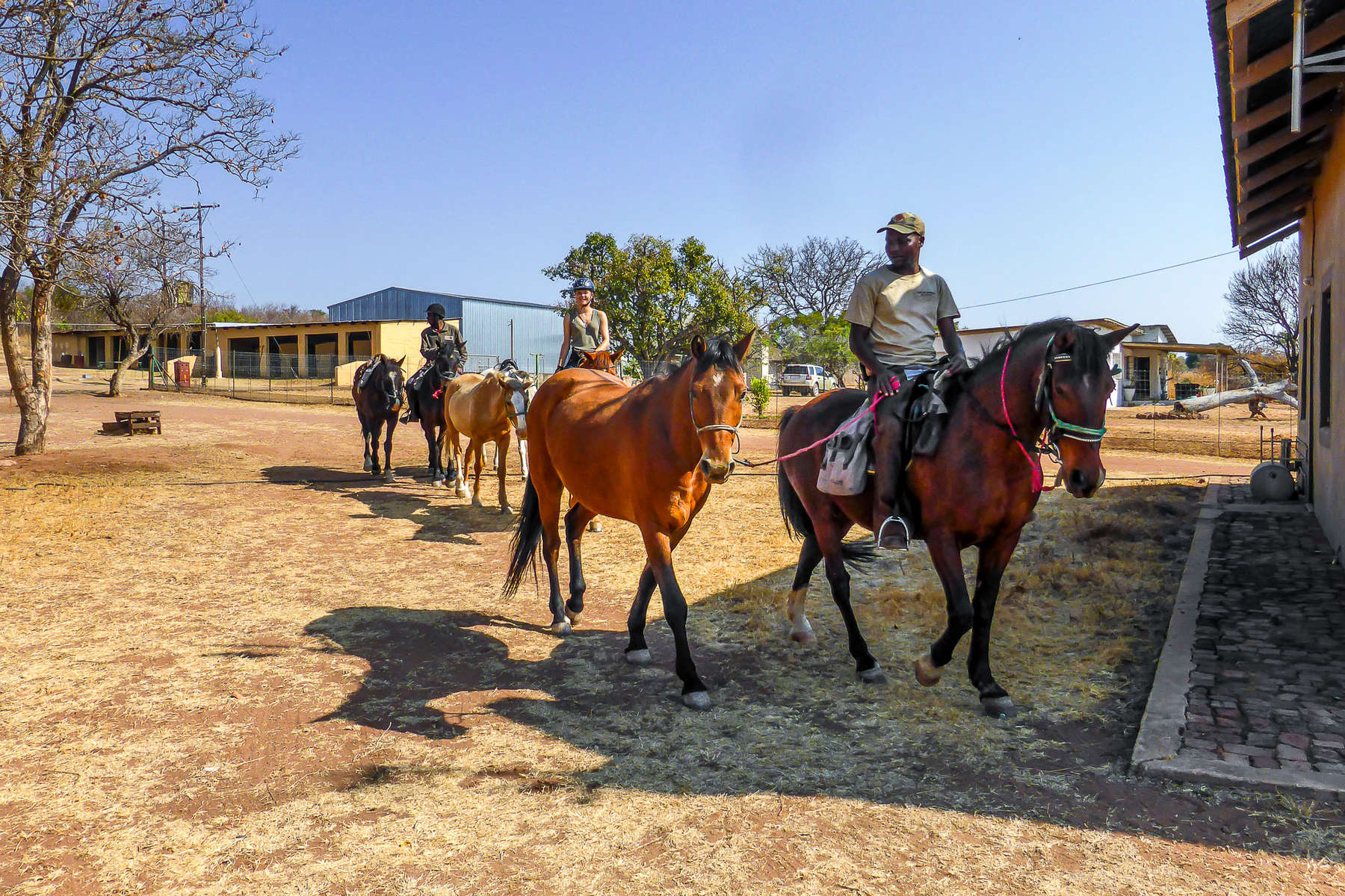 Riders riding while guiding other horses in South Africa