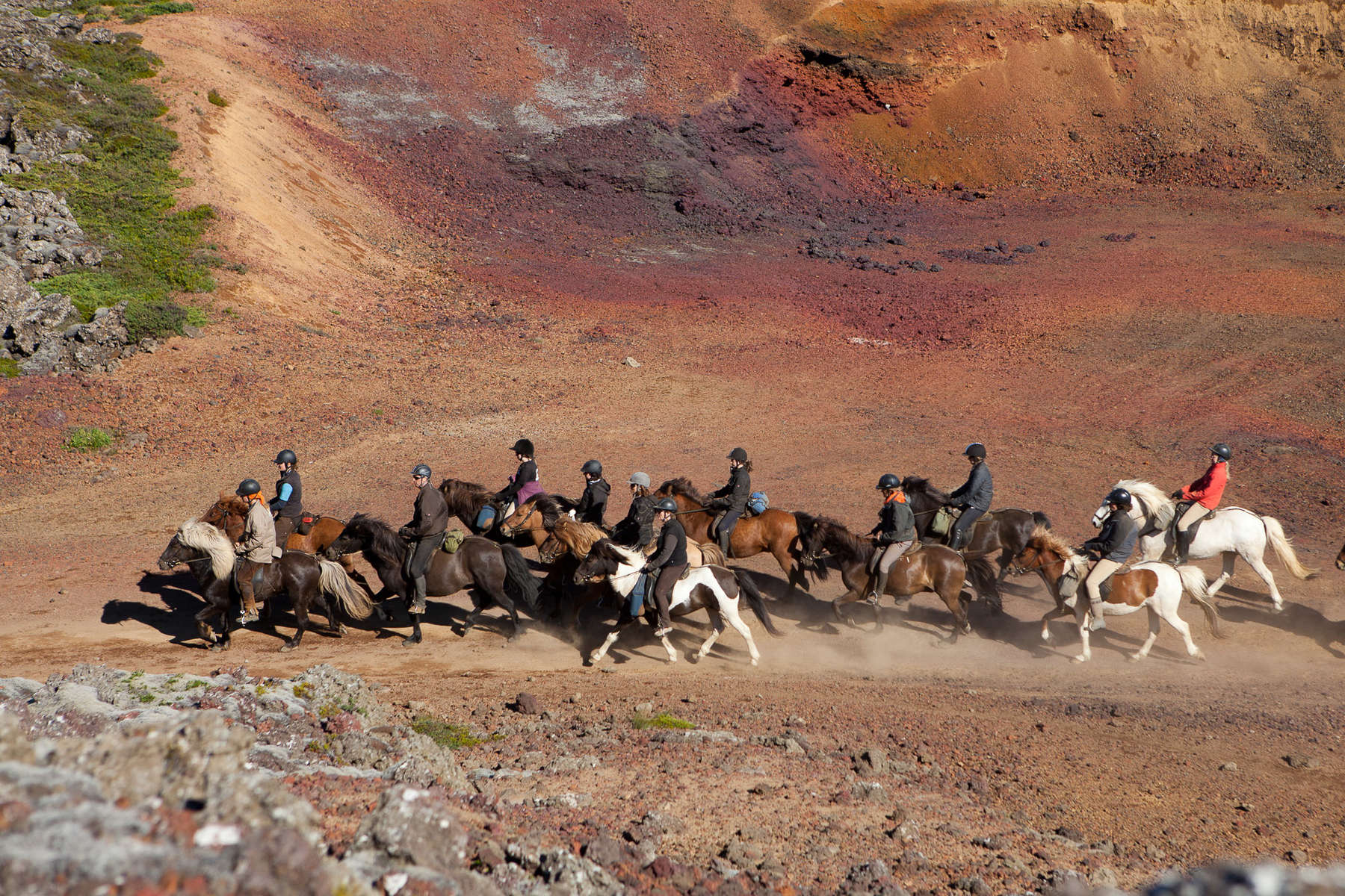 Riders tolting with a group of loose horses
