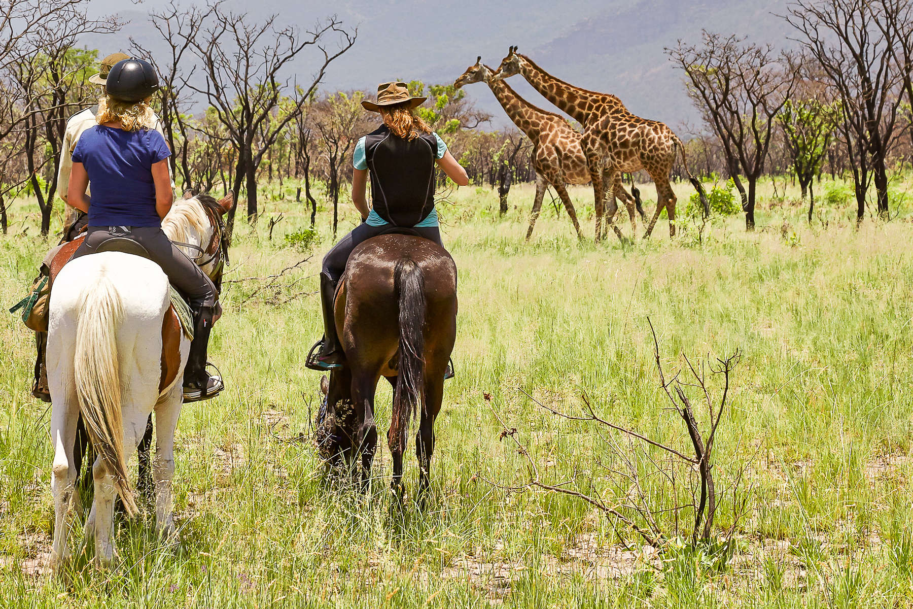 "Big Five" horseback safari in South Africa Equus Journeys