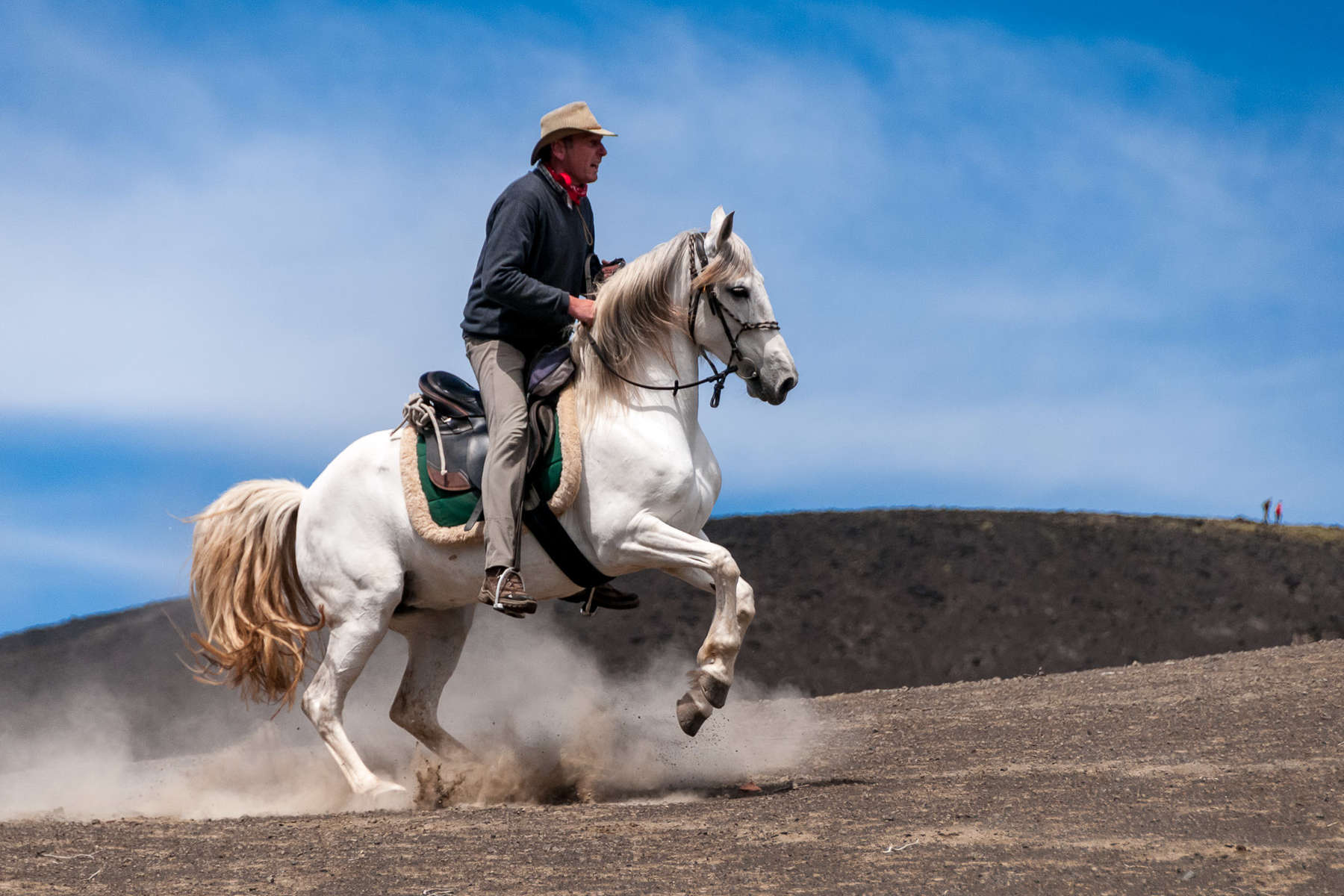 Riding a Lusitano horse on a riding holiday