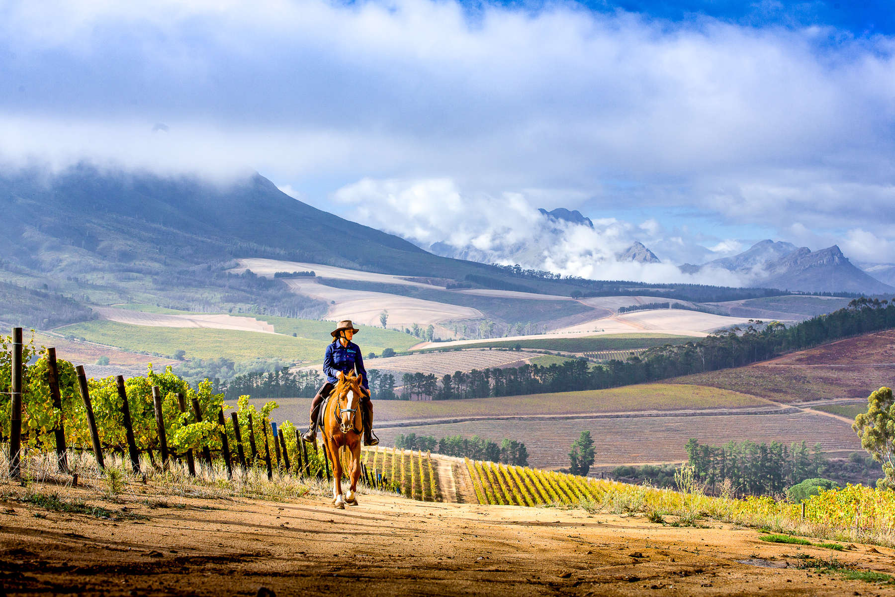 Riding against the backgdrop of the winelands mountains