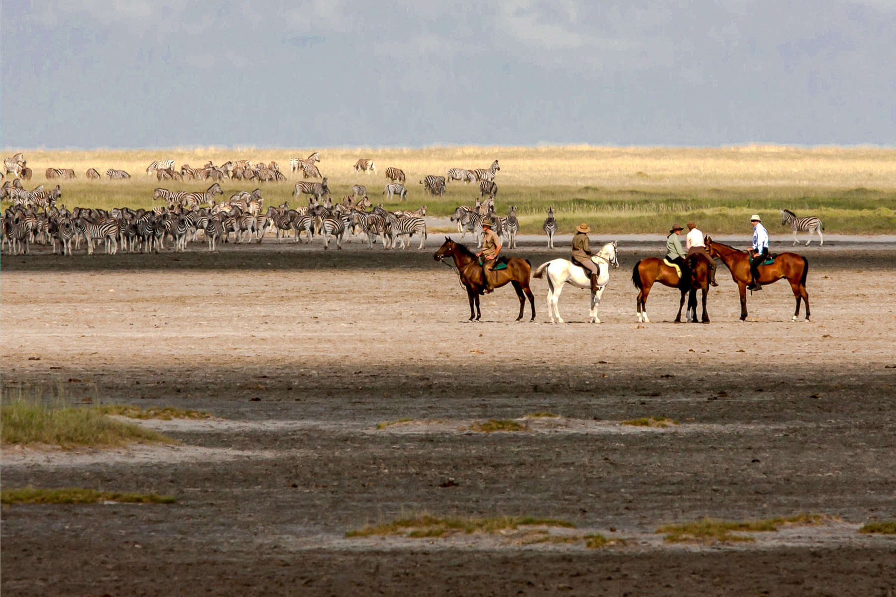 Discover the Kalahari desert on horseback Riding with herds of zebra in Botswana on a riding safari