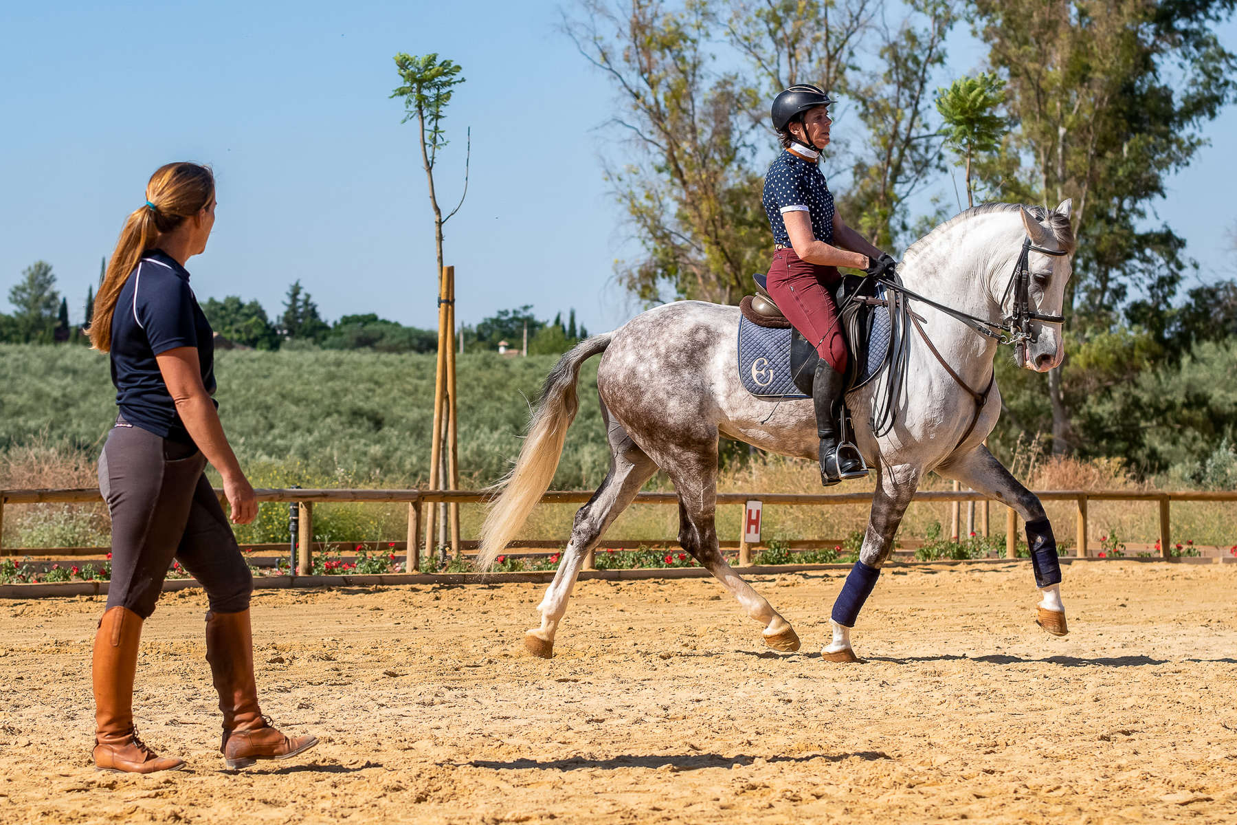 Practice your dressage skills in Andalucia, southern Spain | Equus Journeys