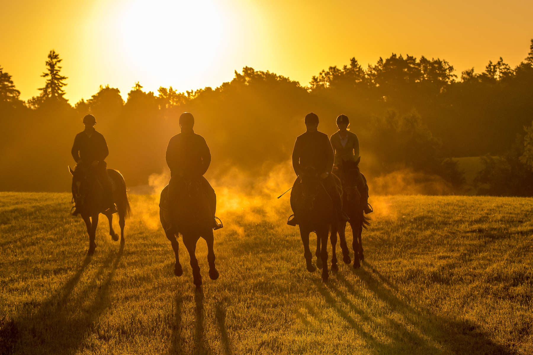 Sunset ride at Galiny Palace on the Warmia Trail