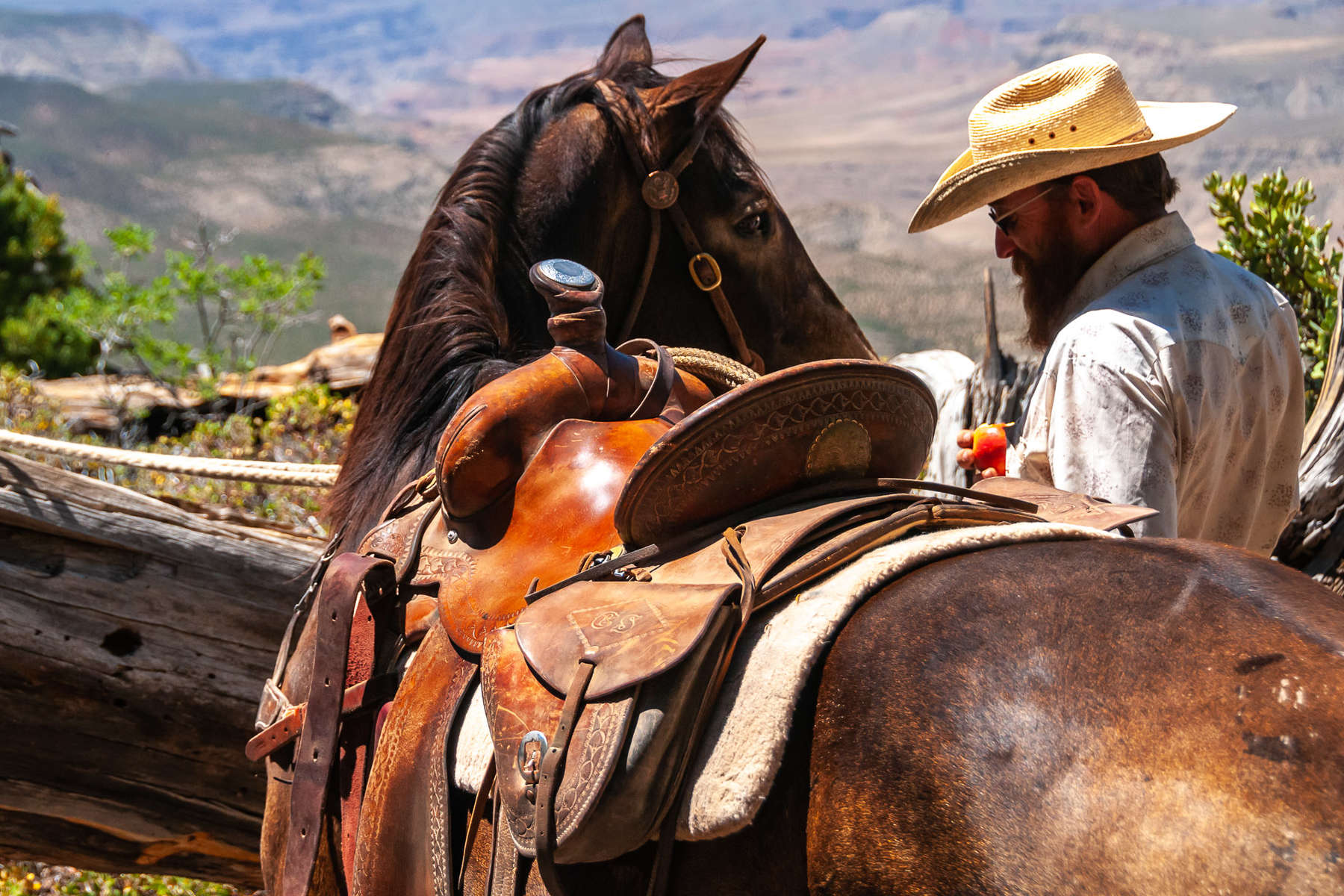 Three park trail ride through the Wild West