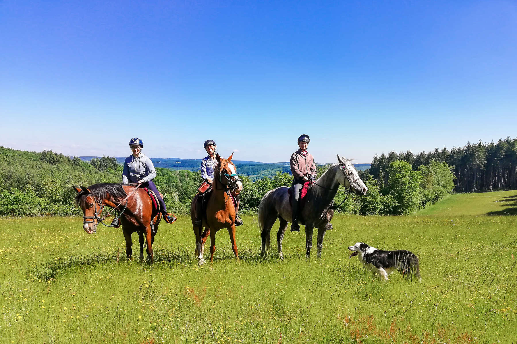 Trail riders in a field of flowers in Burgundy
