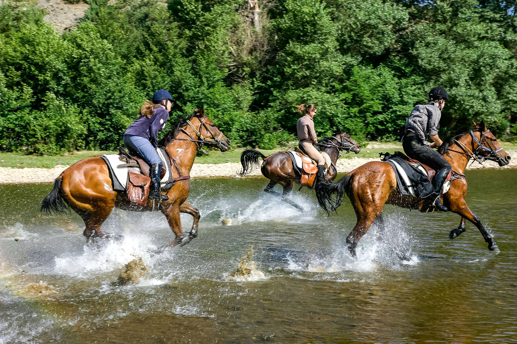 Trail riding in Bulgaria