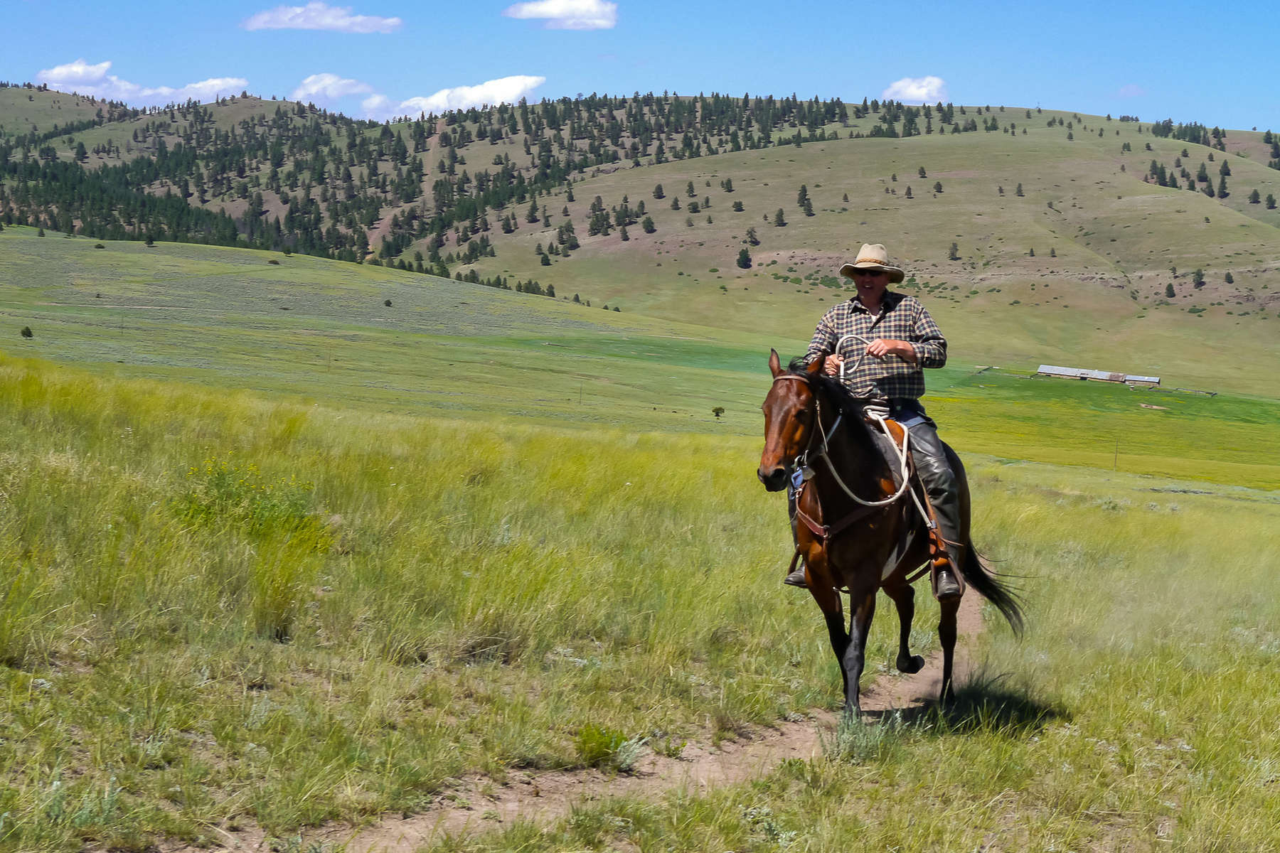 Trail riding in Montana on a ranch vacation