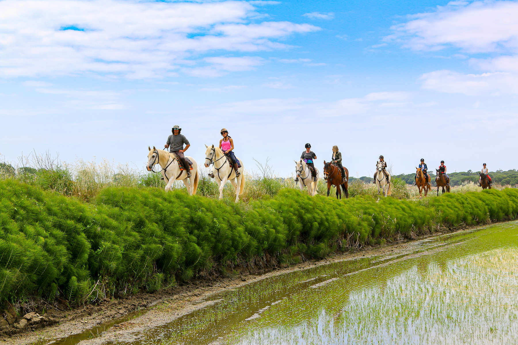 Trail riding in the Alentejo, Portugal Trail riding in the Alentejo, Portugal