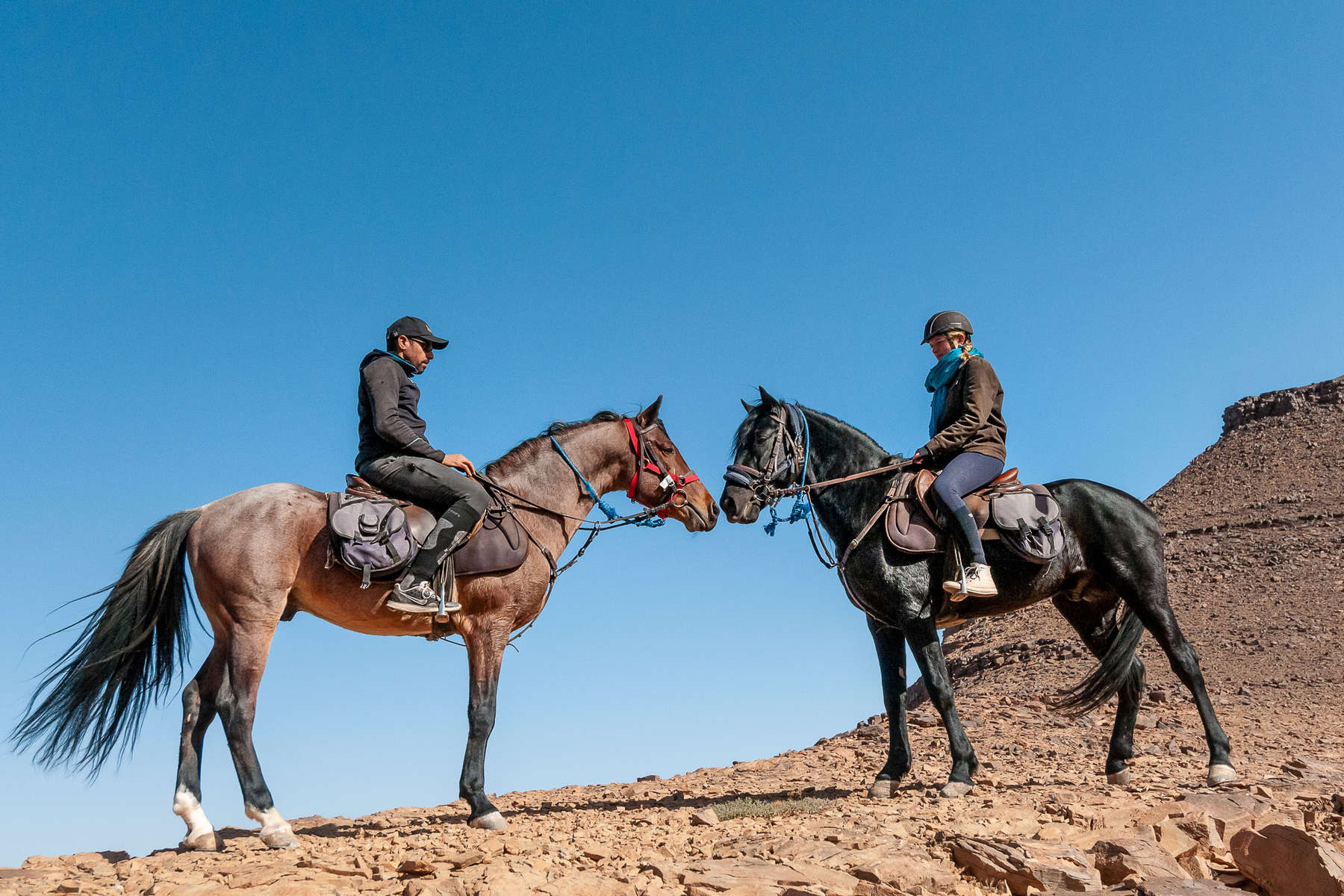 Two horseback riders on Barb-Arab stallions on a riding vacation in Morocco