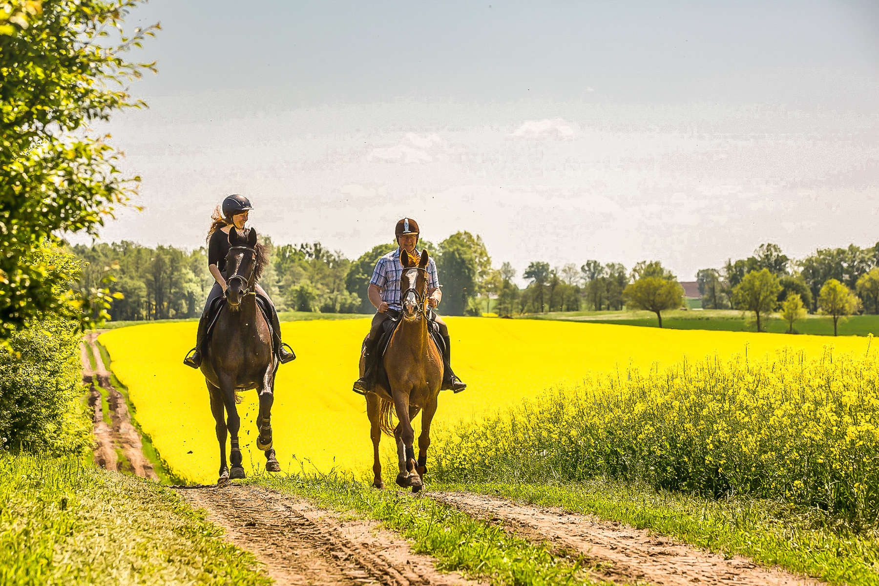 Two riders cantering in a field in Poland