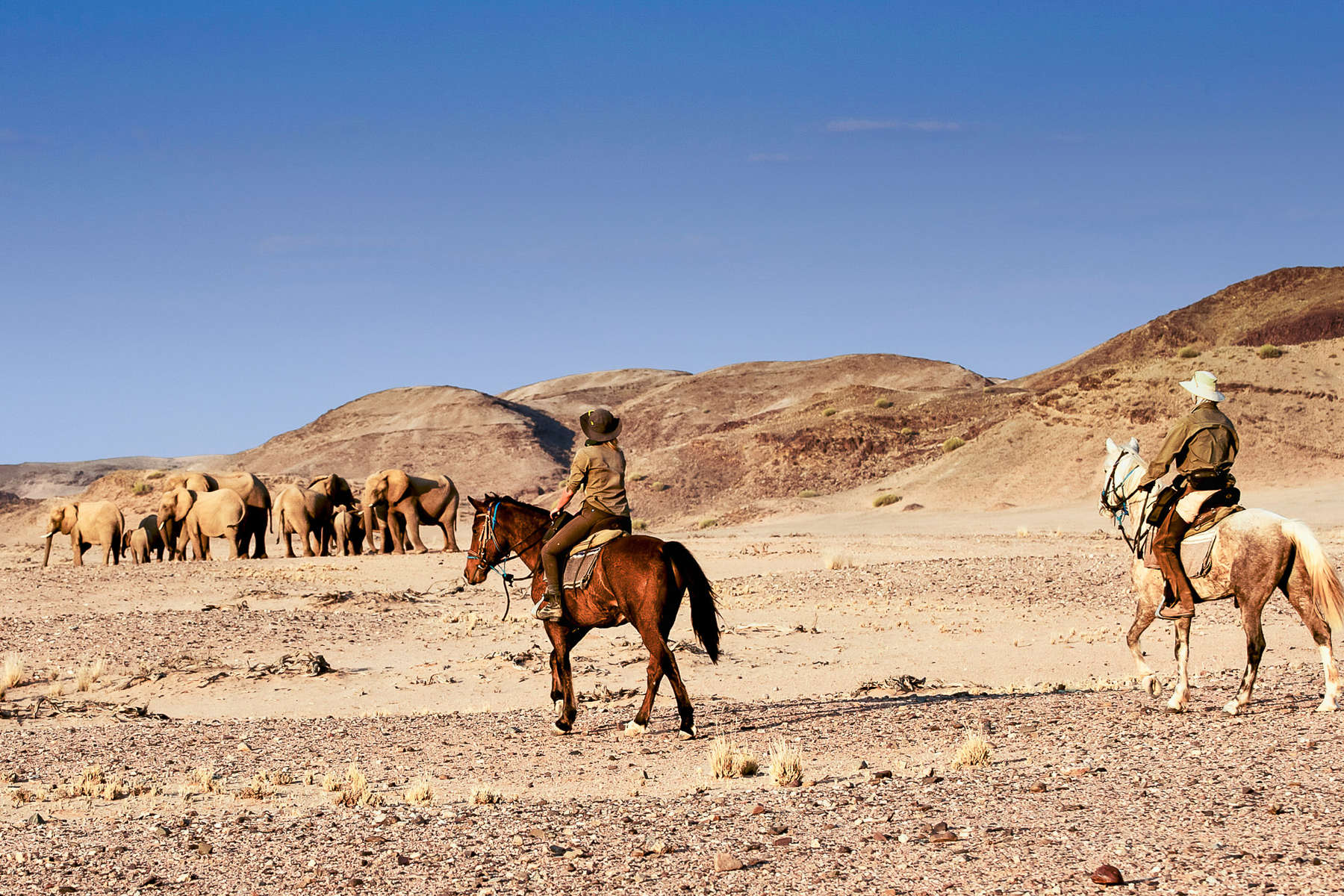 Watching elephants on horseback on a riding safari in Namibia, Damaraland