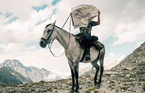 Horse and rider with a map on a trail ride