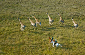 Macatoo camp, Okavango Delta safaris