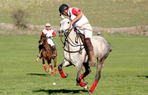 Polo player in Argentina, Los Potreros