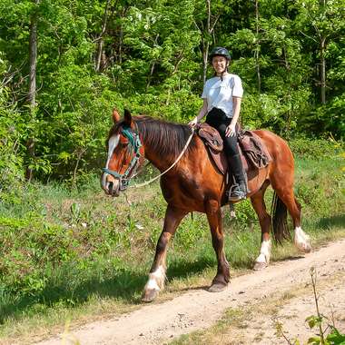 Equus Journeys advisor riding a Franche-montagne horse