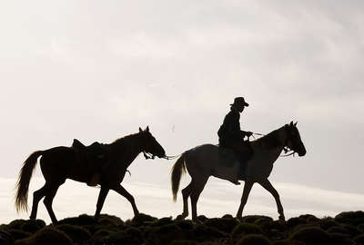 A horseback ride following Morocco's saffron trail