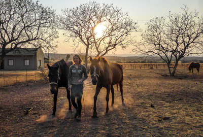 A woman walking along two horses in South Africa