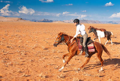 Cantering horse on an adventurous trail riding holiday