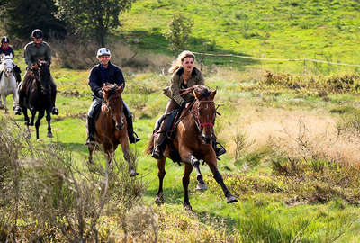 Cantering in France on a trail ride