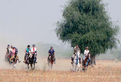 Cantering in Rajasthan
