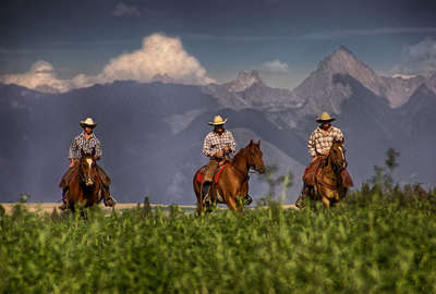 Cowboys and riders in Canada