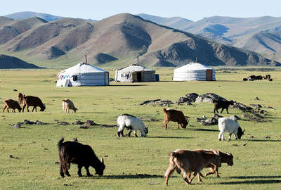 Discover the wilderness of Mongolia on horseback