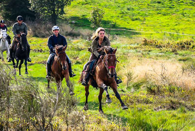 Group of riders on a horseback vacation in Alsace cantering in the vineyards