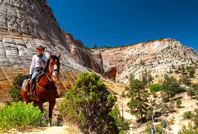 Horse and rider in Arizona