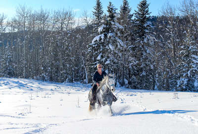 Horse and rider riding in the snow, Moose Mountain Ranch in Canada