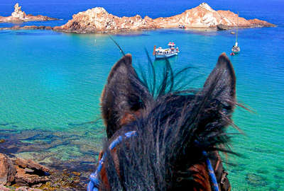 Horse looking out to the sea in Menorca