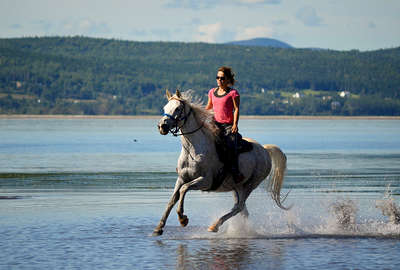 Horse rider cantering in the lake in Canada