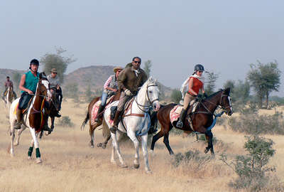 Horse trail ride through the Thar desert and Naguar Fair