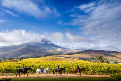 Horseback adventures at Cape Winelands riding holidays