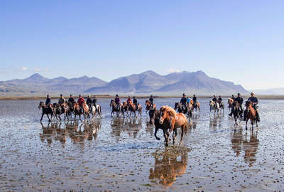 Horseback holiday in Iceland and riders riding on the beach