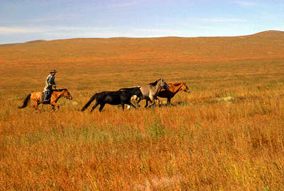 horseback in Mongolia