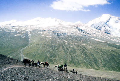 Horseback pack trip and trail Ladakh