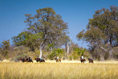 Horseback riding in the Okavango Delta