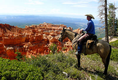 Horseback trail riding in the Grand Canyon USA