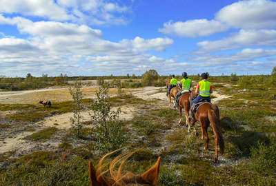 Horseback trails in Lapland, northern Finland